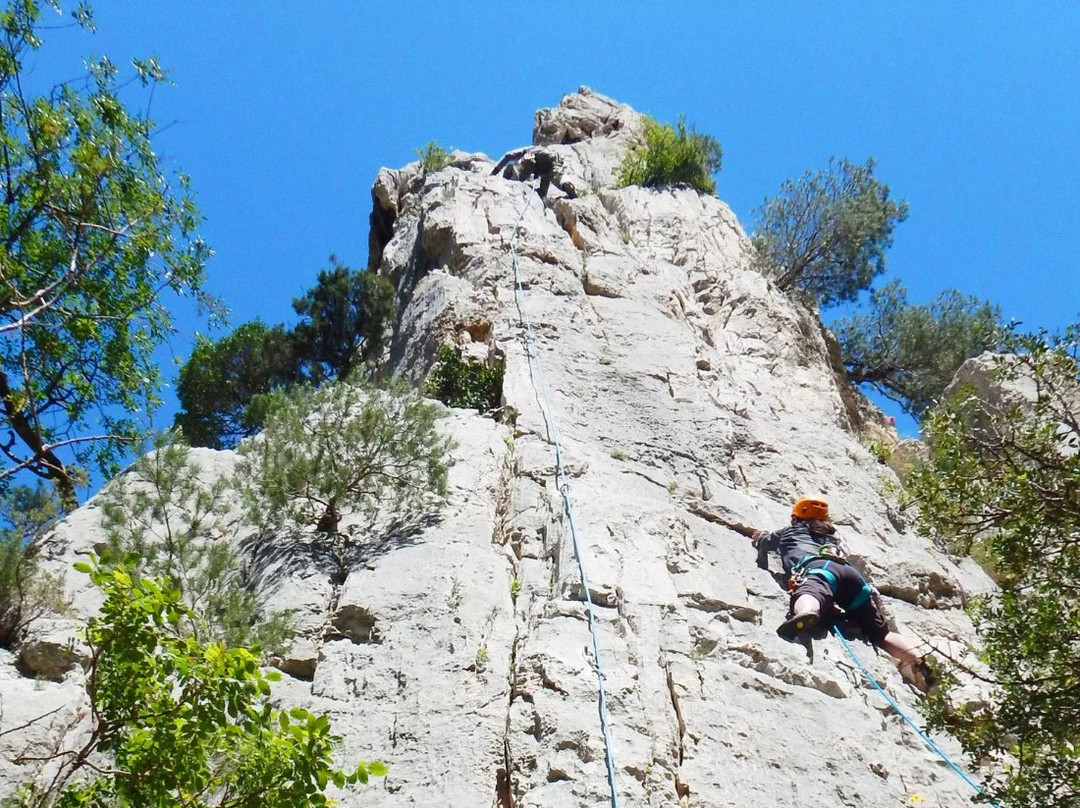 La Pommeraie in Ariège主图