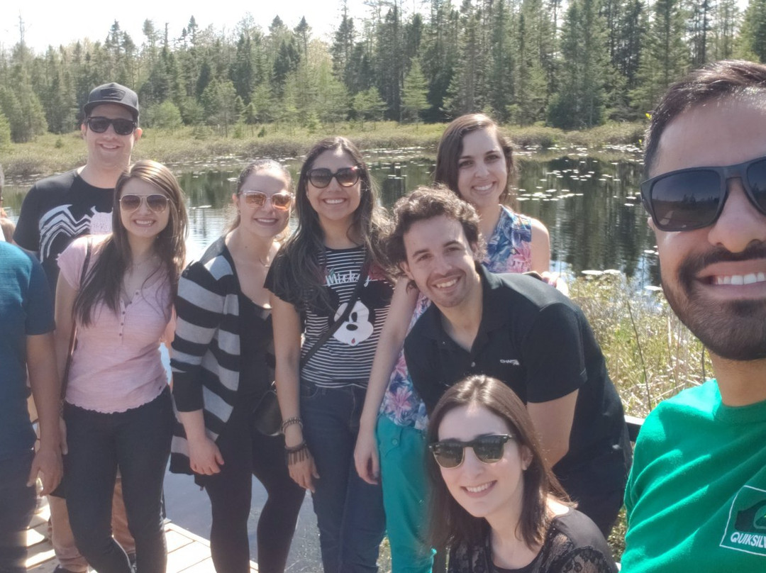 Sifton Bog-伦敦必去景点