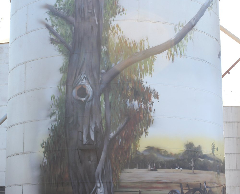 Goorambat Silo Art-Goorambat必去景点