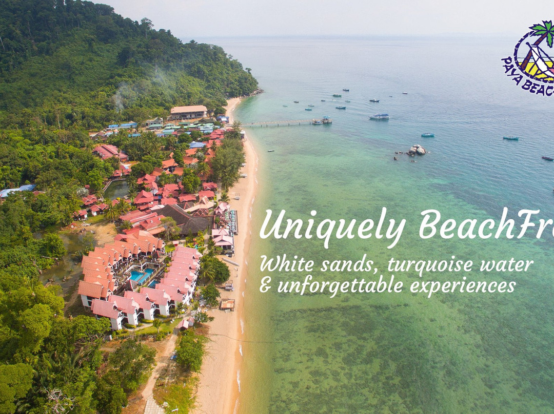 刁曼岛帕雅沙滩潜水Spa度假酒店主图