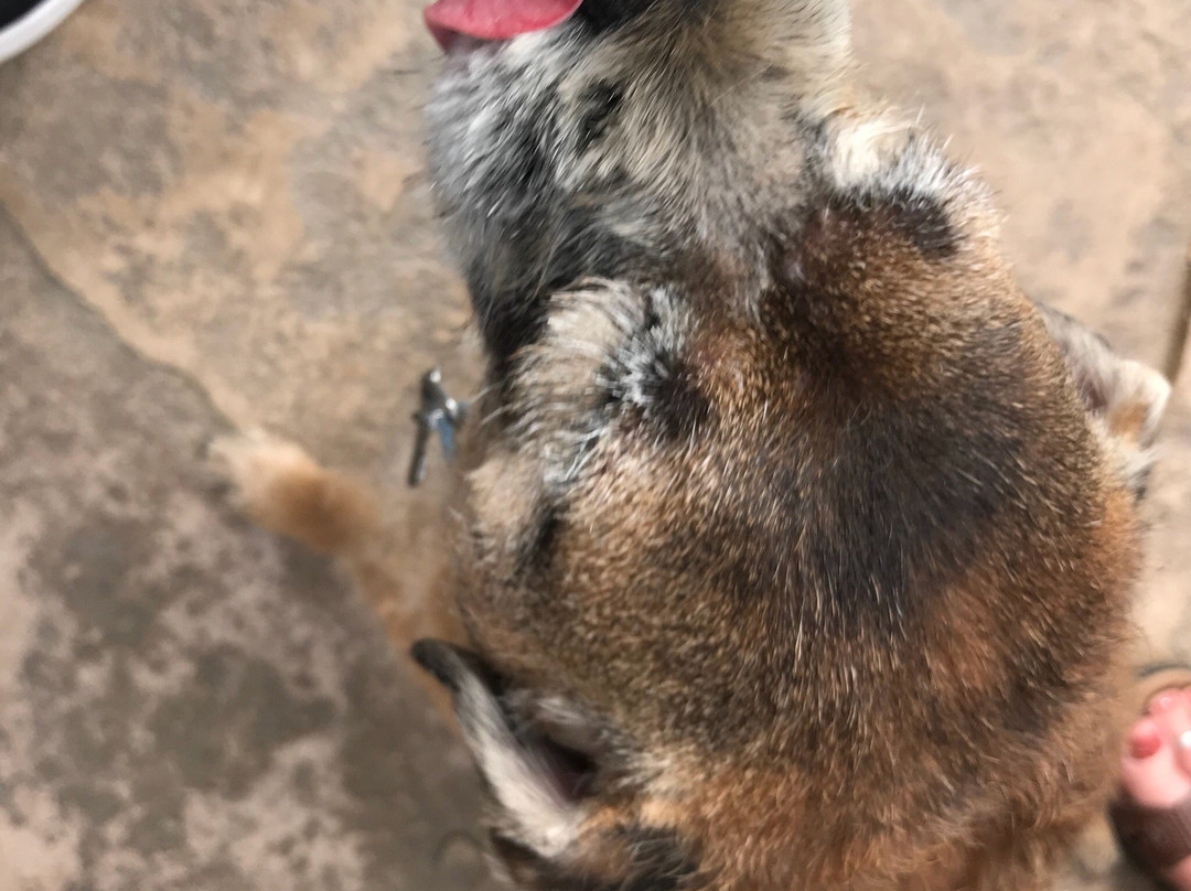 Yosemite Cellars-格罗夫兰必去景点