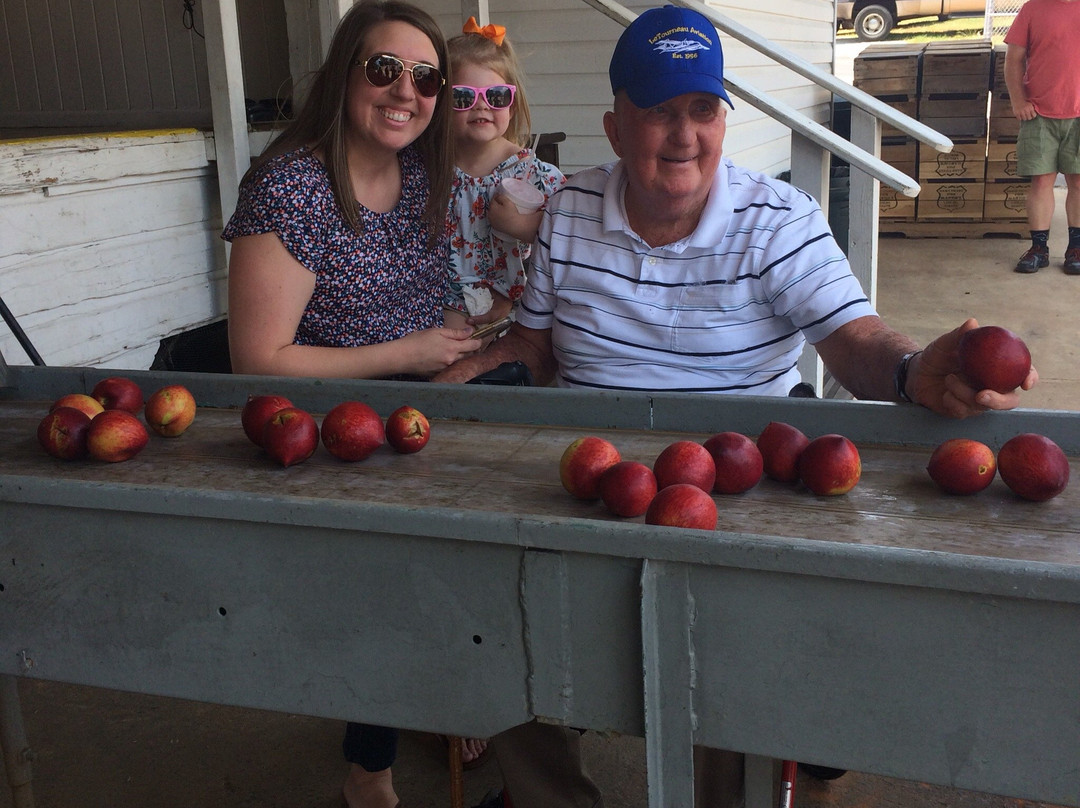 Dickey Farms-Musella必去景点