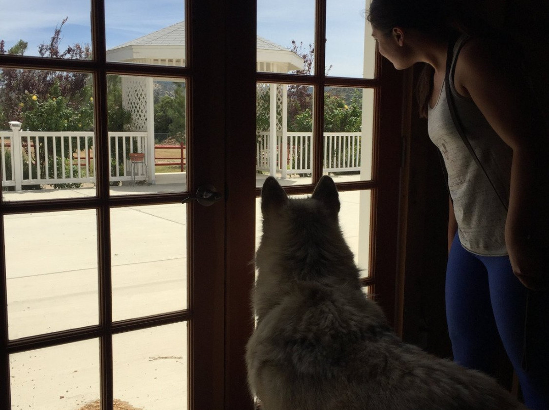 Shadowlands Foundation-Lake Hughes必去景点