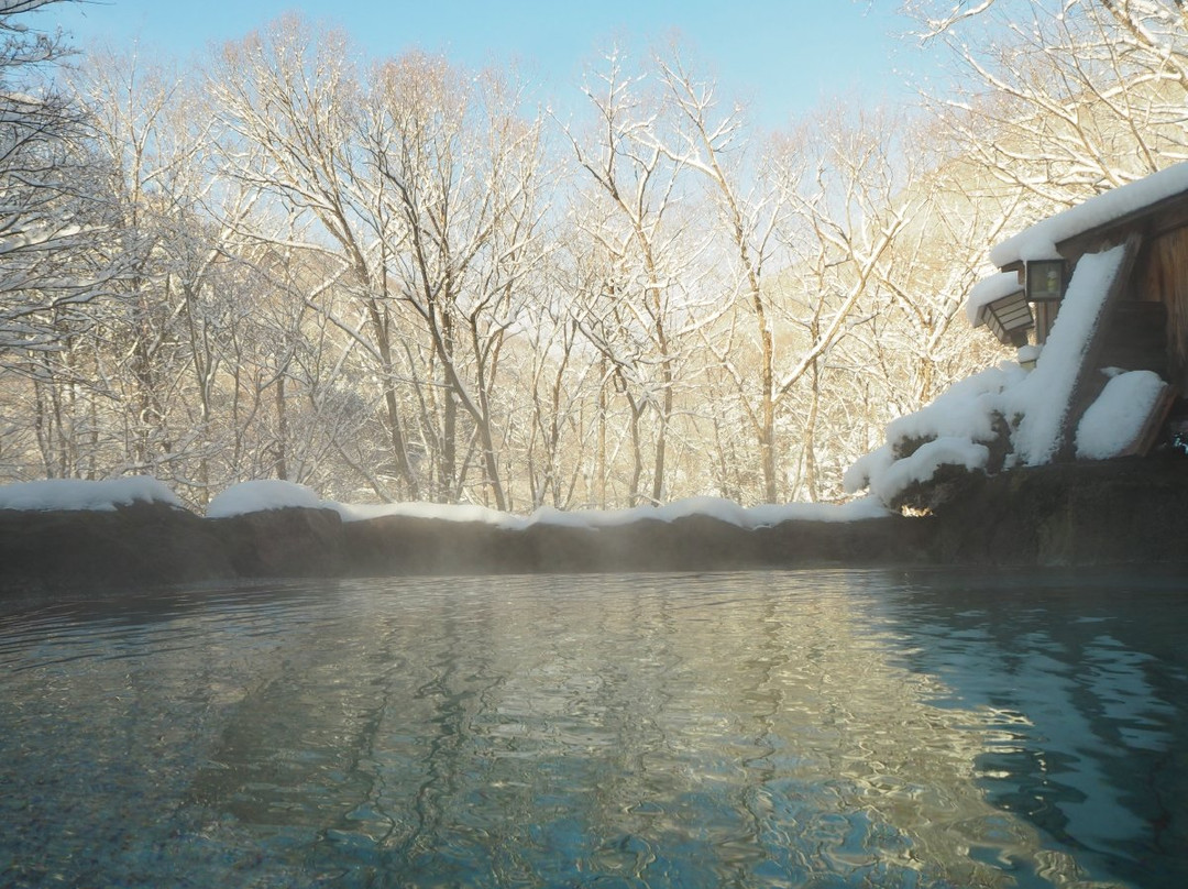 OYO Ryokan Koboshinoyu Senshintei主图