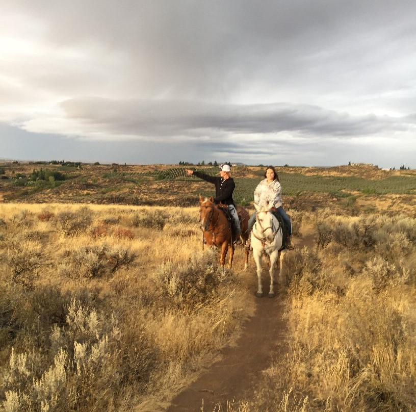 Kinship Trail Rides-埃伦斯堡必去景点