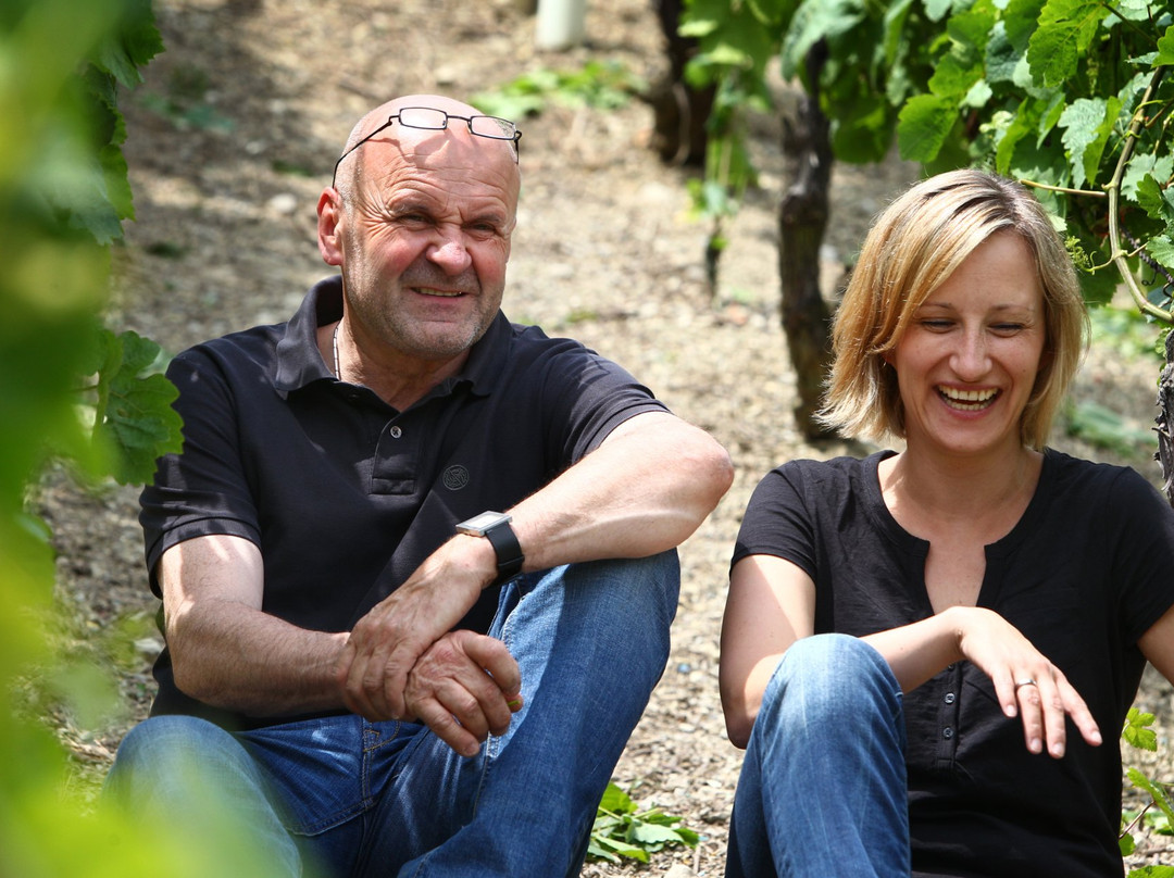 Weingut Horst Sauer景点图片
