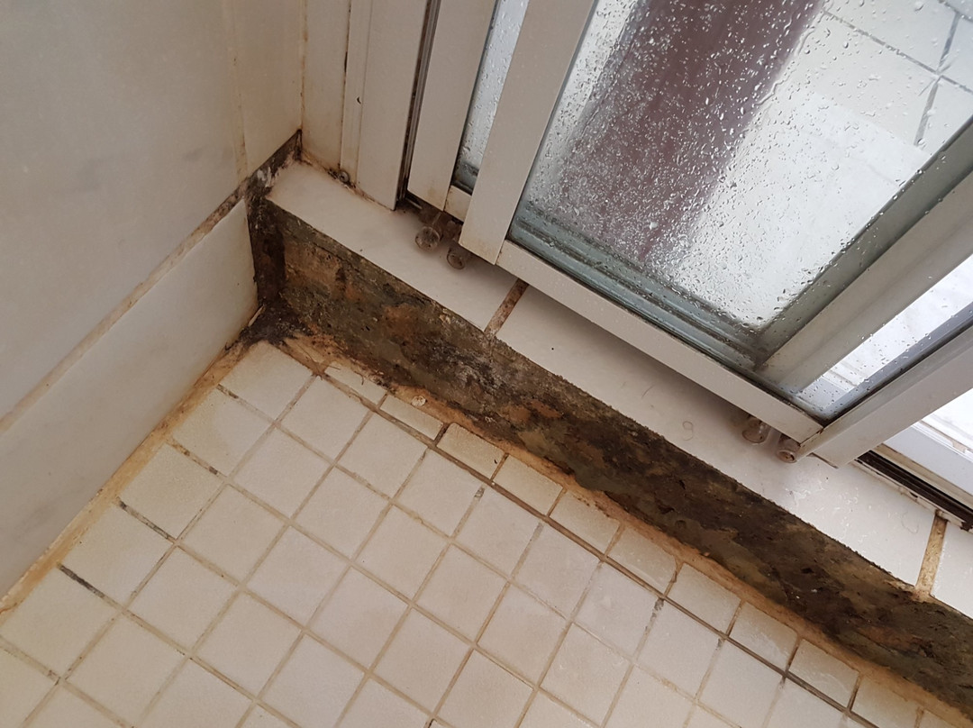 One One Guest House Kuils River主图