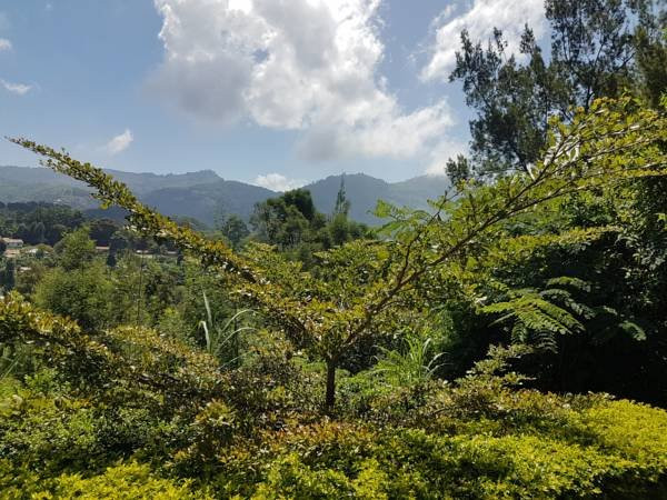 Kanaani Resthouse主图