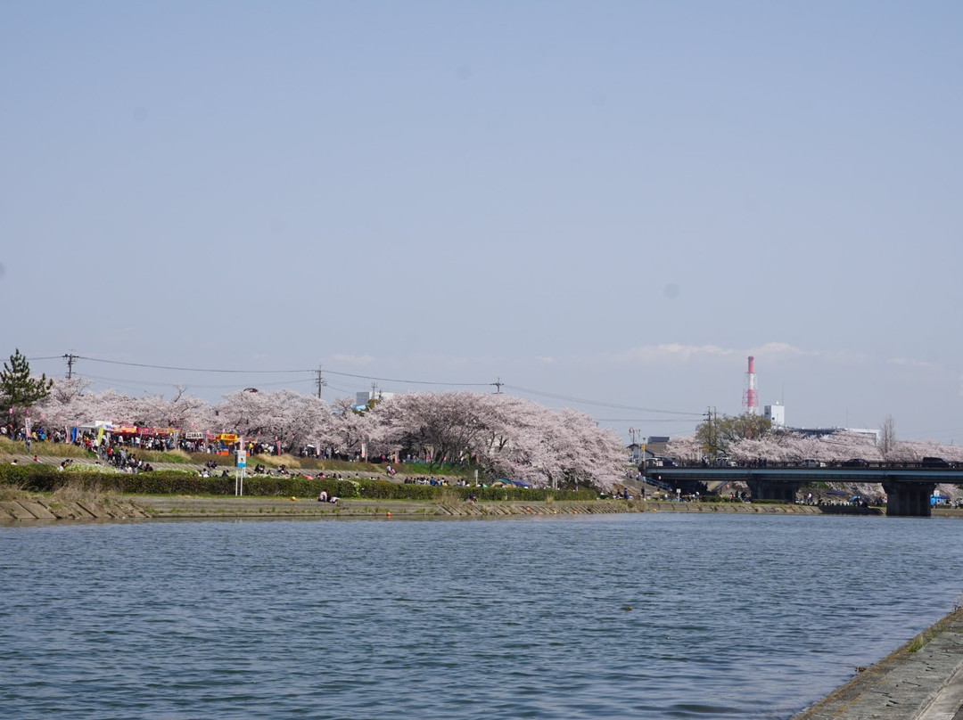 Kaizogawa Riverbank景点图片