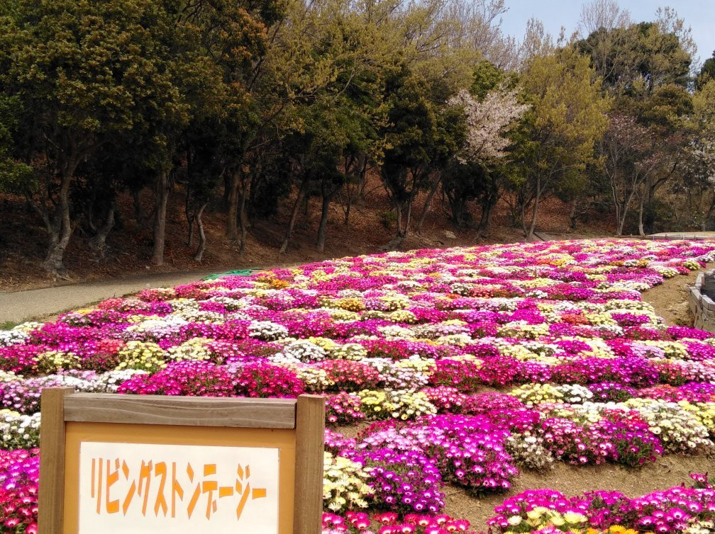 Sante Park Tahara-田原市必去景点