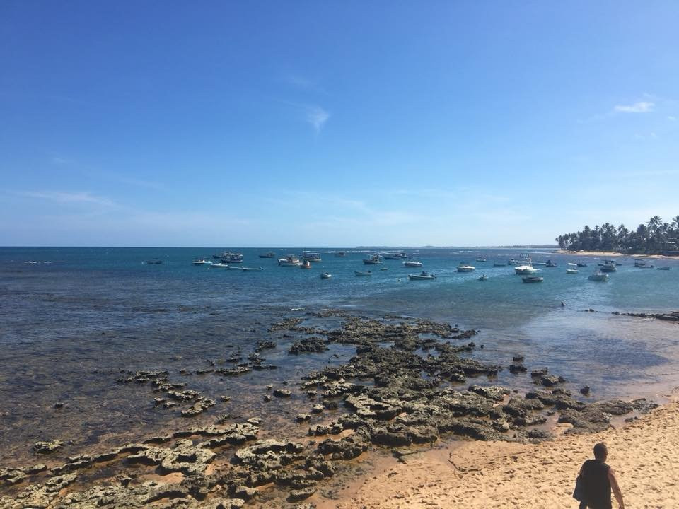 Praia do Forte景点图片