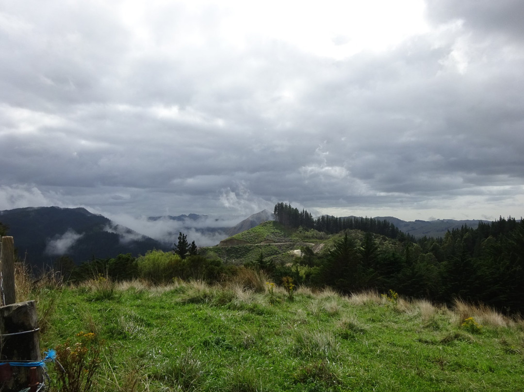 Te Kuri Farm Walkway景点图片