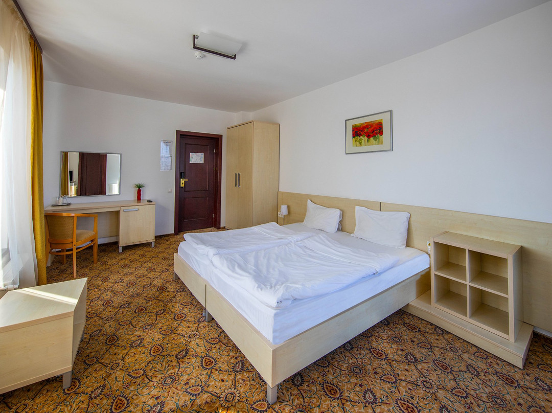 AselTur Brasov主图