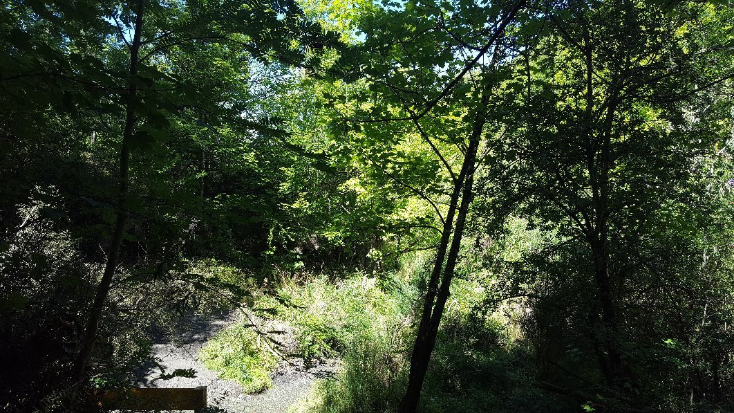 Bush Creek Trail-箭镇必去景点