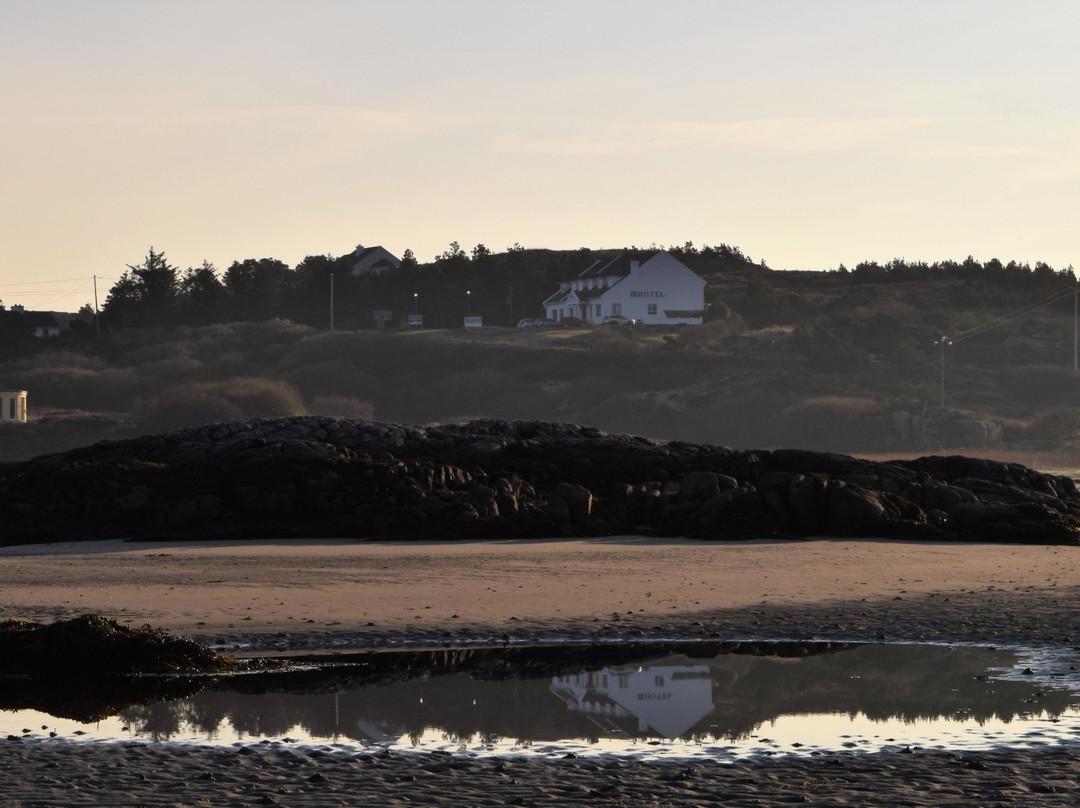 The Viking House Hotel主图