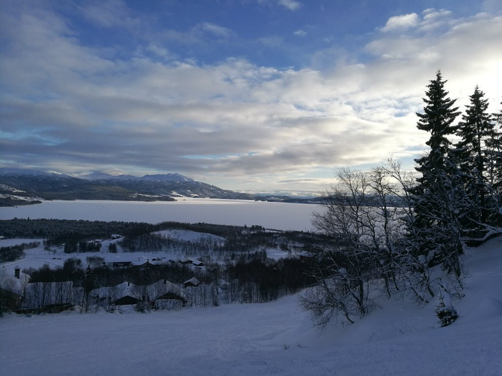 Raulandsfjell Alpinsenter景点图片
