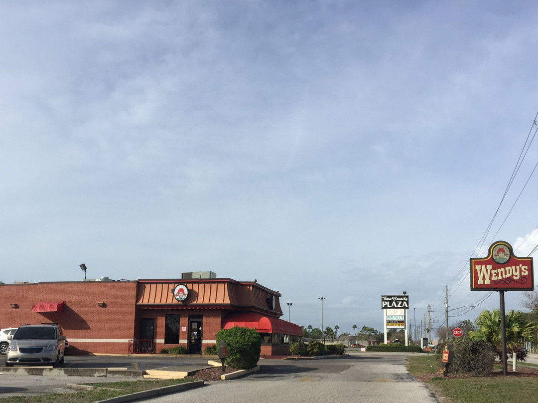 Pinecraft餐馆和美食-Wendy's