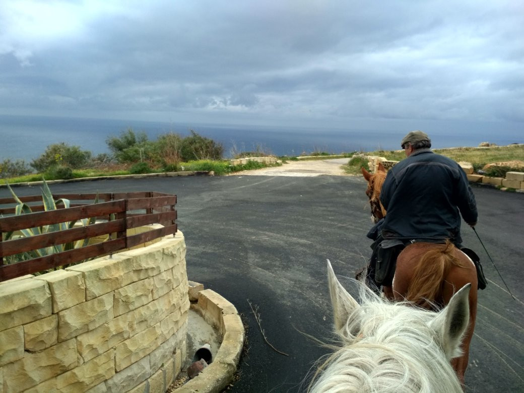 Bidnija Horse Riding-Mosta必去景点