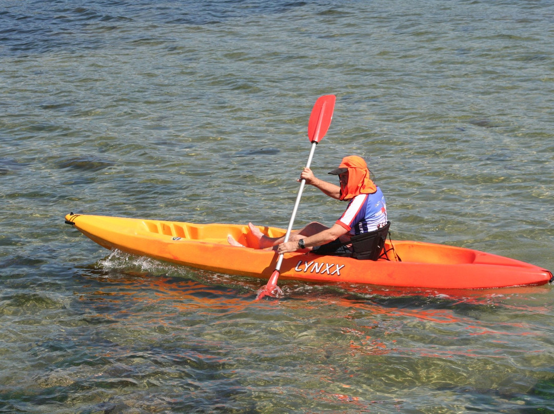 Nowra Kayak Hire景点图片