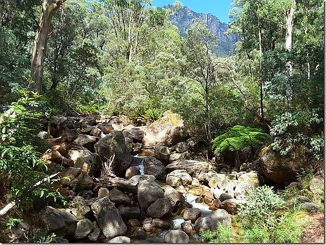 The Star Chinese Restaurant