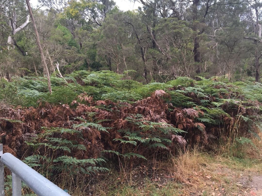 Mt Eliza Regional Park景点图片