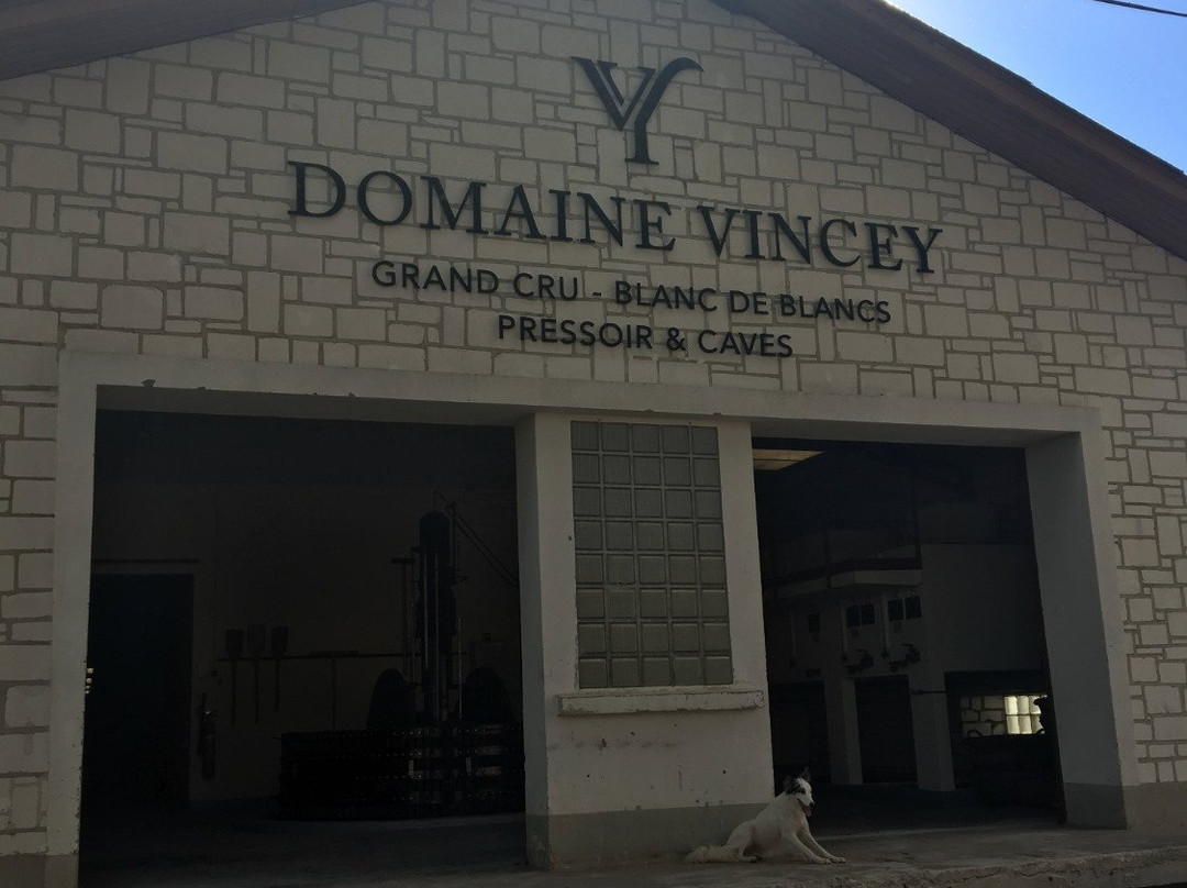 Champagne Vincey景点图片