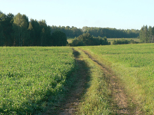 Cheremoshnya旅游攻略图片