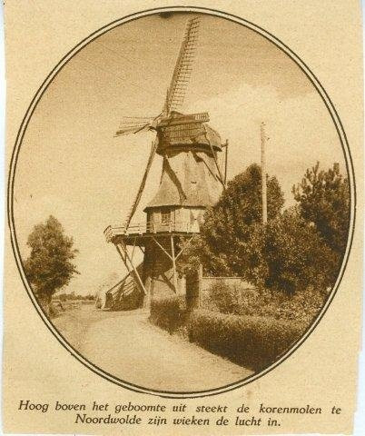 Molen Windlust景点图片