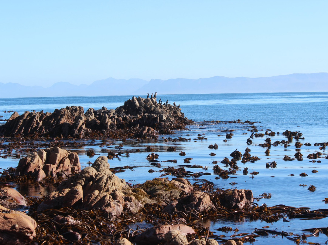 Sea Star Lodge主图