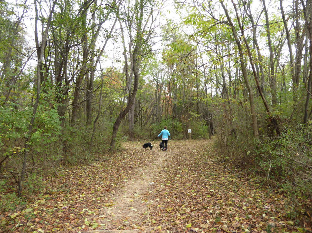 Montgomery Hall Park-斯汤顿必去景点