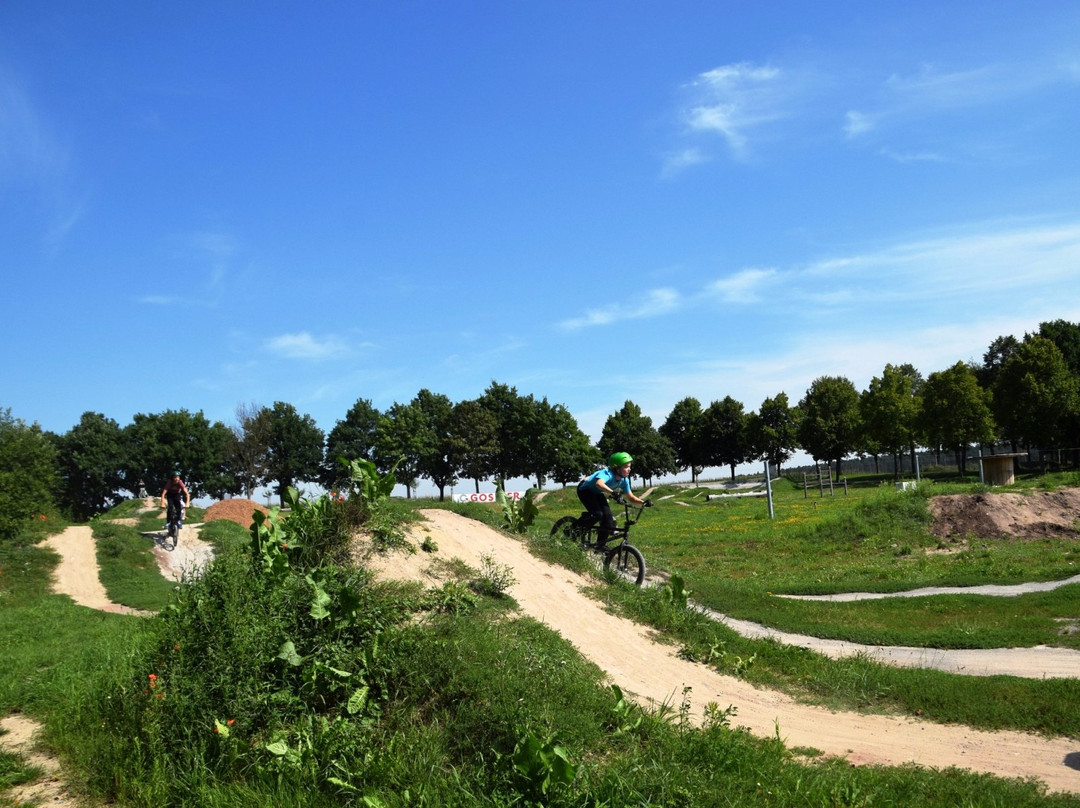Gossler Bikepark Diespeck景点图片