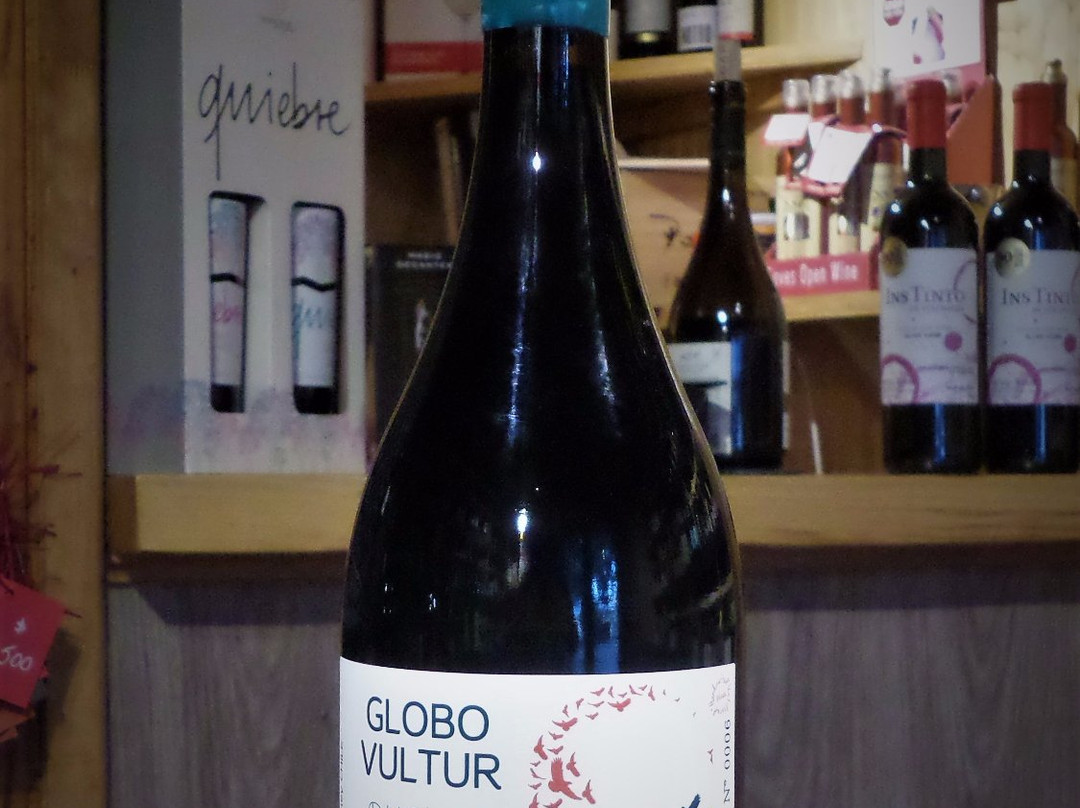 Vinonauta-圣克鲁斯必去景点