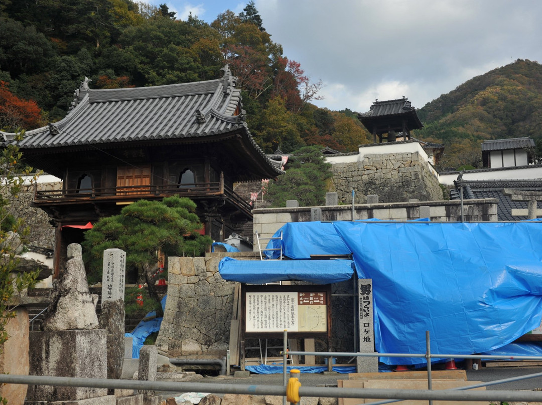 Yakushiin Tairyuji Temple-高粱市必去景点