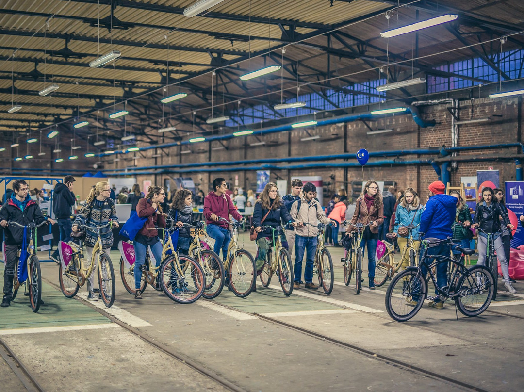 Bike Rental & Tours-弗罗茨瓦夫必去景点