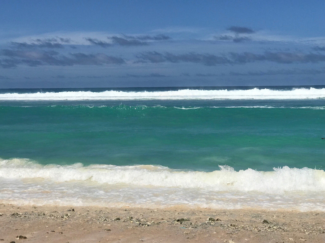 塔拉基海滨-塔穆宁必去景点