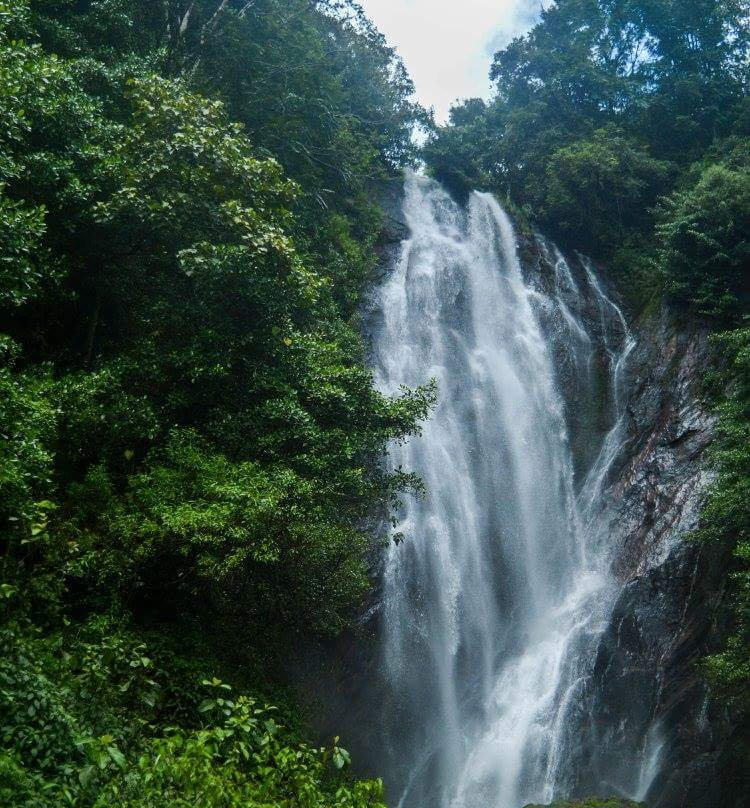Mohini falls-奴娃拉伊利雅必去景点