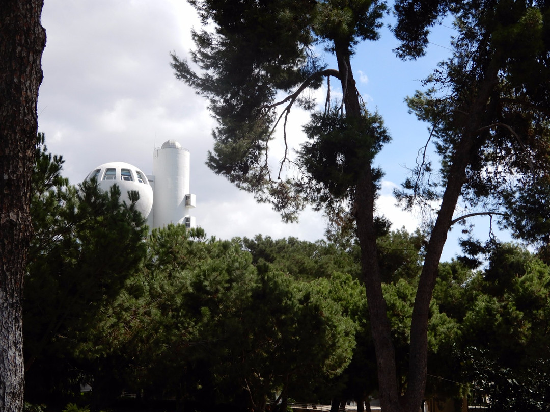 Weizmann Institute of Science-雷霍沃特必去景点