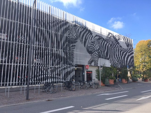 Zooschule Heidelberg景点图片