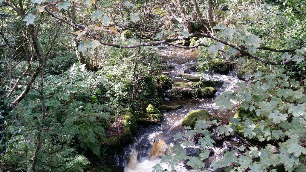 The Poltesco Valley and Carleon Cove-null必去景点