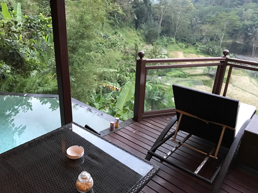 巴龙蝴蝶度假村主图