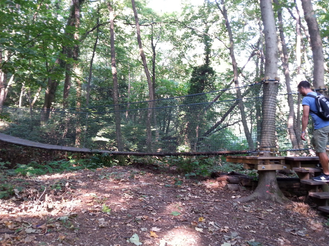 San Fermo della Battaglia旅游景点-Parco Spina verde