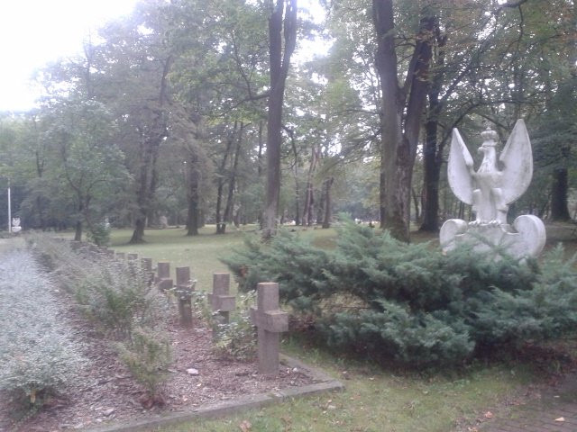 Modlin Fortress Cemetery景点图片