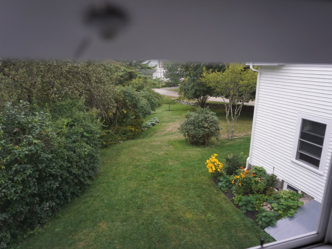 Bittersweet B & B主图