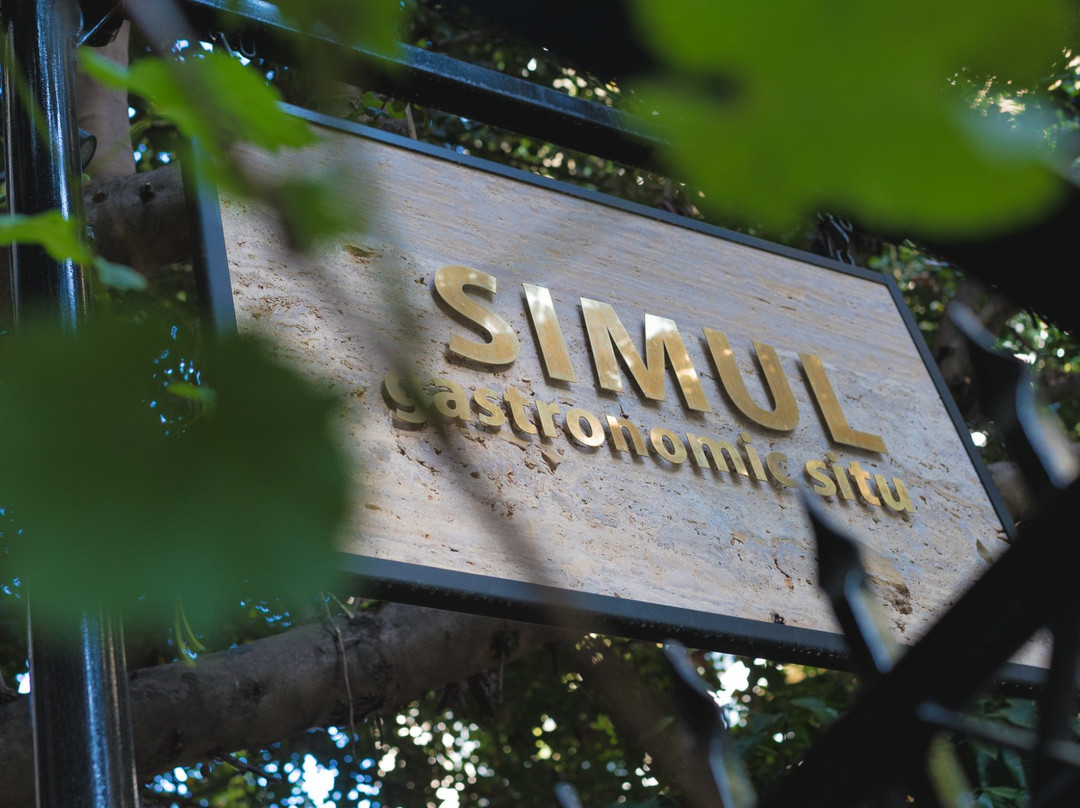 Simul Gastronomic Situ