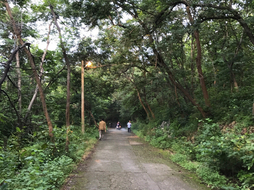 Budharaja Temple景点图片