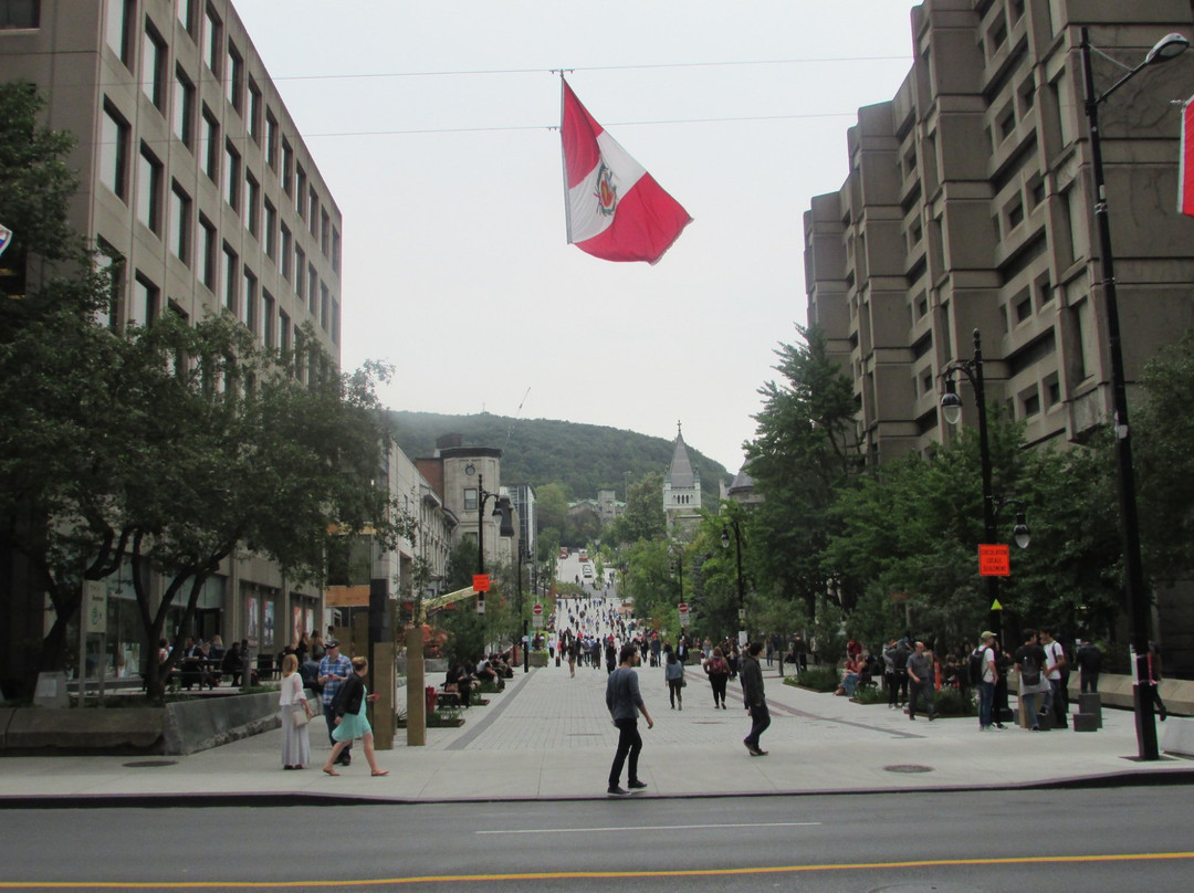 Golden Square Mile-蒙特利尔必去景点