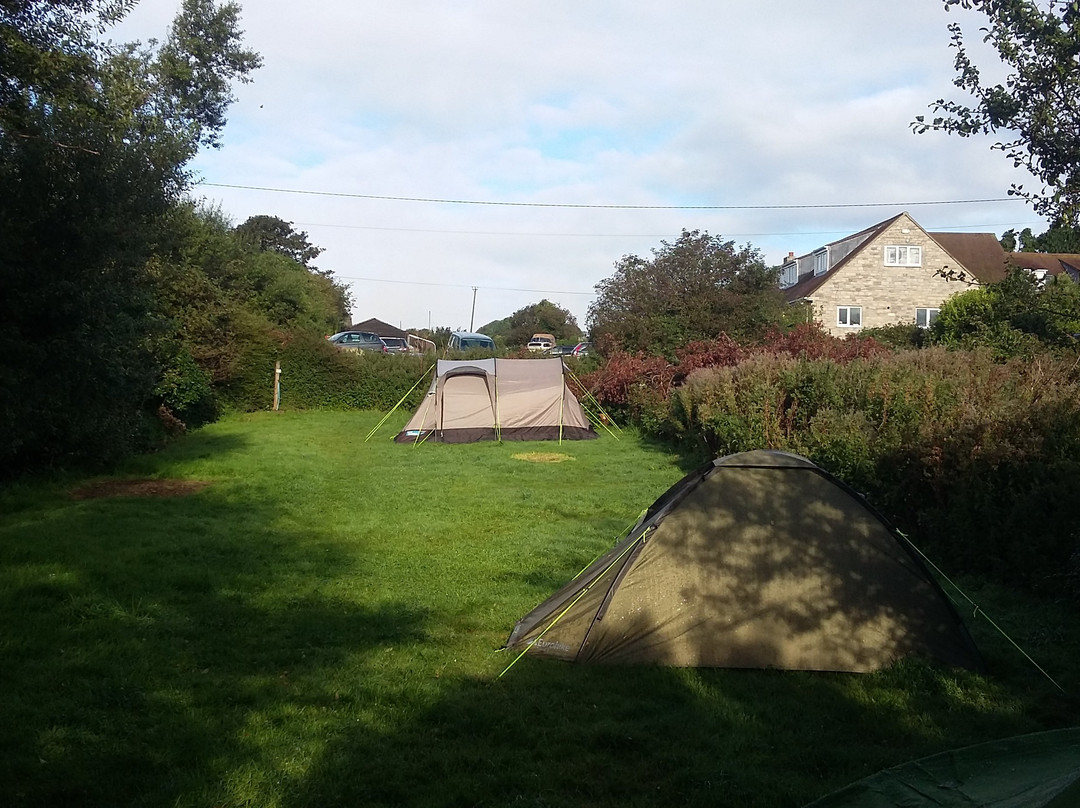 Tom's Field