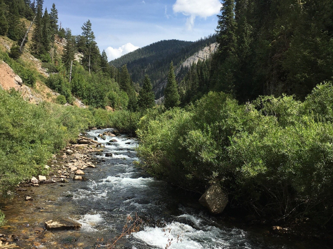 World's Largest Intermittent Spring-Afton必去景点