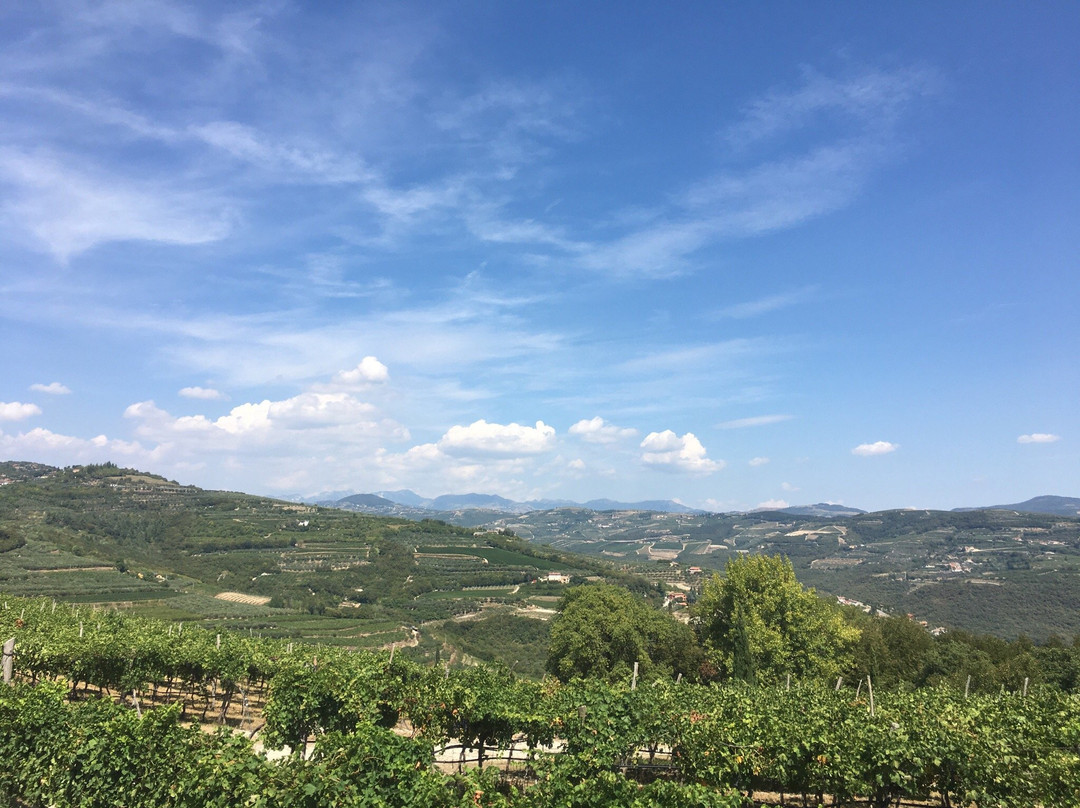 Tenuta Sant' Antonio景点图片