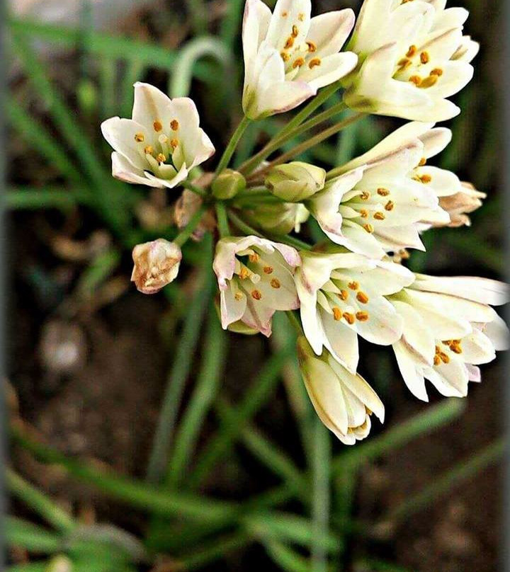 Aire Spa & Wellness-萨卡特卡斯必去景点